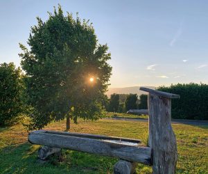 2025-08-17-41-Champetre-2025